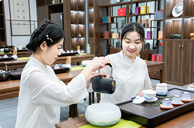 茶艺师乐动手机网页版登录入口